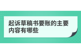 渑池专业讨债公司有哪些核心服务？